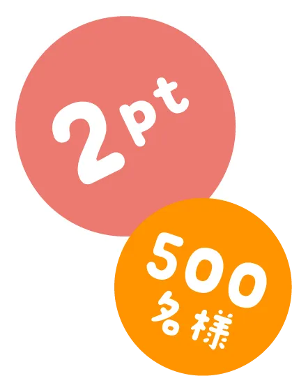 2pt 500名様