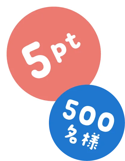 5pt 500名様